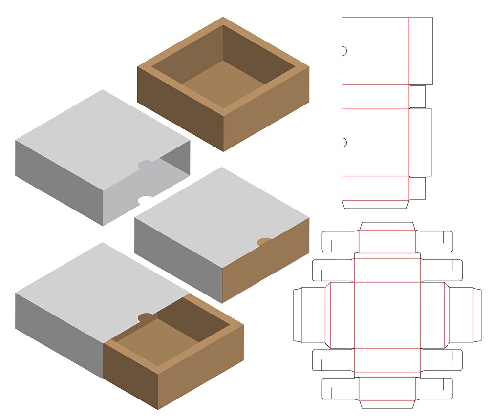 Box packaging die cut template design. 3d mock-up